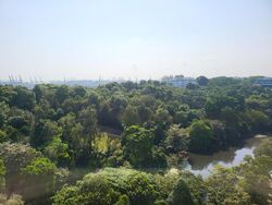 Normanton Park (D5), Apartment #482558491